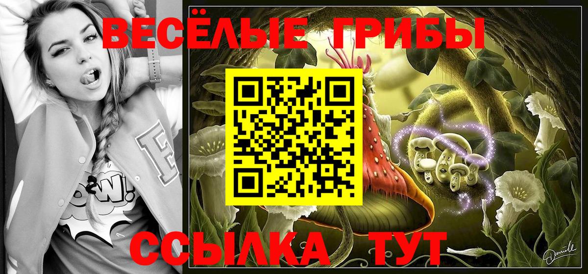 Галлюциногенные грибы Psilocybe  Вход с VPN  Балашиха  Галлюциногенные грибы мухоморы 
